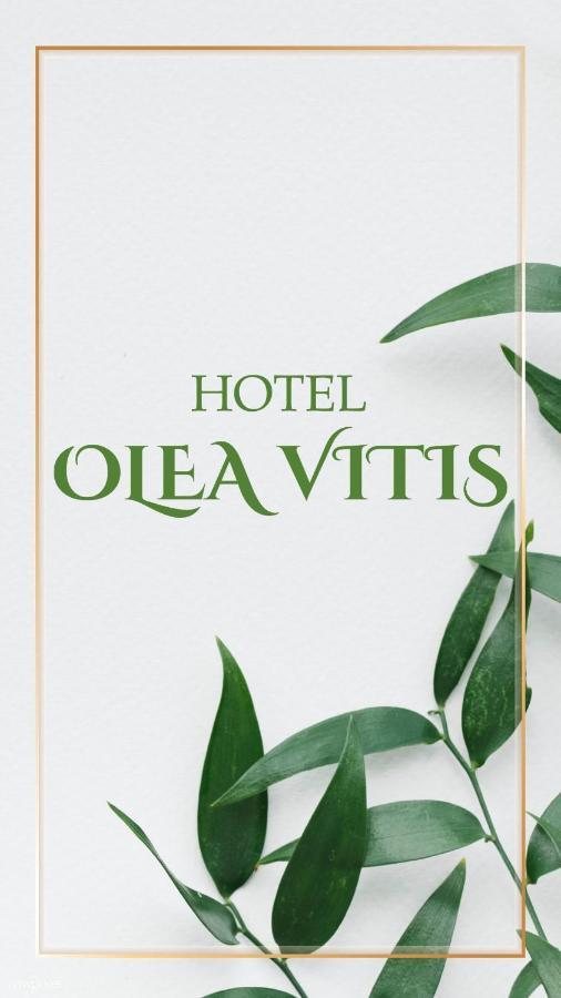 Olea Vitis Hotel Medjugorje Exterior photo